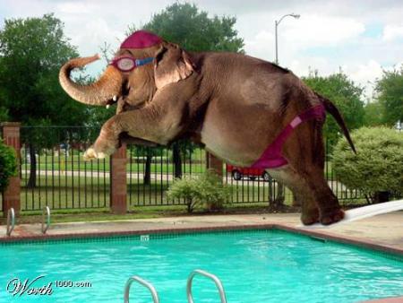 oui oui.. ba.. s'il plonge... sauve qui peut!!!   mdrrrrrrr   !!